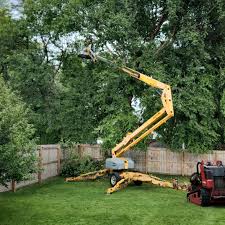 Best Storm Damage Tree Cleanup  in Pine Island Center, FL