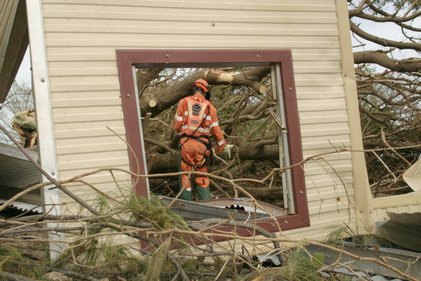 Mulching Services in Pine Island Center, FL